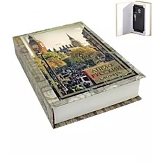 Сейф "Книга" Англо-русский словарь
